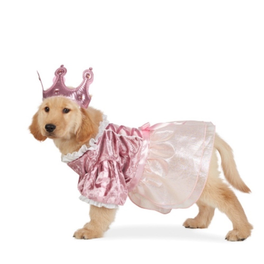 Ministry of Rascals Princess dog costume. NWT size small.